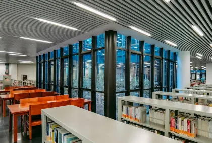 Kasino Lion Wins Mobiilisovellus